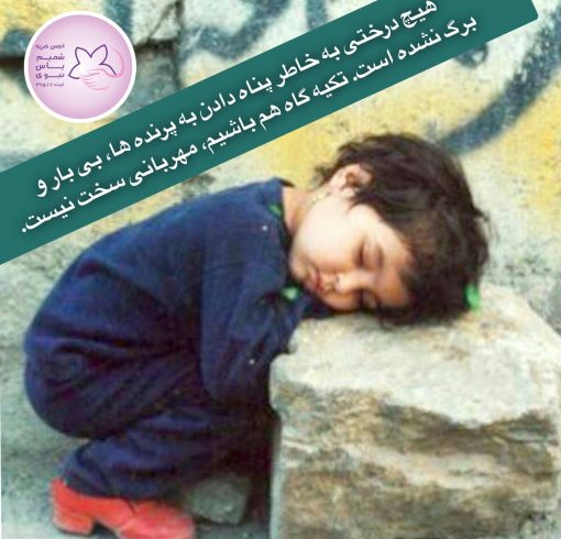 WhatsApp Image 2025-07-29 at 8.45.51 PM